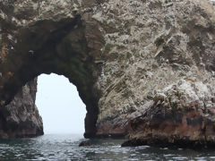 Iles Ballestas, Paracas