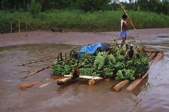 Transport de bananes