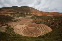 Terrasses de Moray