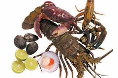 Fruits de mer