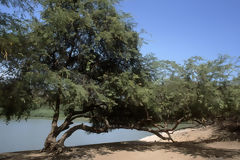 Parc National Cerros de Amotape