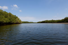 Sanctuaire national des Mangroves de Tumbes