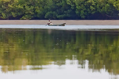 Bateau dans les mangroves de Tumbes