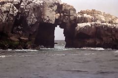 Ile Palomino, Callao