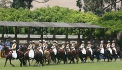 Prsentation de chevaux de Paso