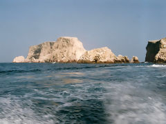 Iles Ballestas, Paracas