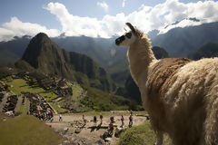 Citadelle de Machu Picchu