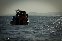 Observation des baleines