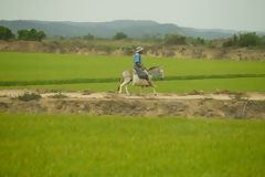 Paysage de Tumbes