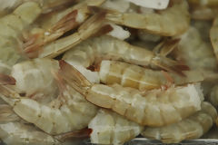 Langoustine