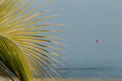 Plage Cabo Blanco