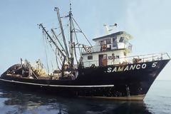 Bolichera en face du port de Chimbote