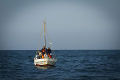 Observation des baleines