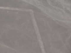 Lignes de Nazca