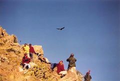 Vol du condor, Colca