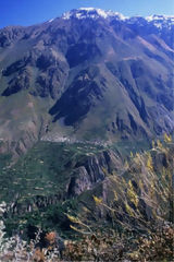 Randonne dans le Canyon, Colca