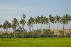 Estuaire de Virril