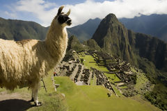 Citadelle de Machu Picchu