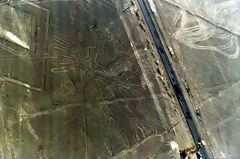 L'Arbre, Nazca