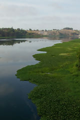 Estuaire de Virril