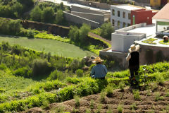 Campagne d'Arequipa