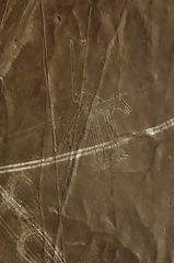 Lignes de Nazca