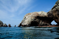 Iles Ballestas, Paracas