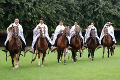 Chevaux de pas