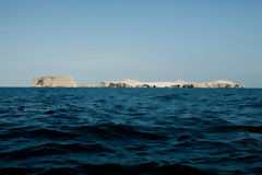 Iles Ballestas, Paracas