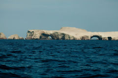 Iles Ballestas, Paracas