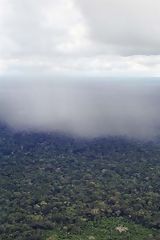 Fort amazonienne