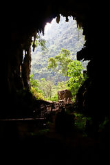 Grotte des Chouettes, Tingo Mara