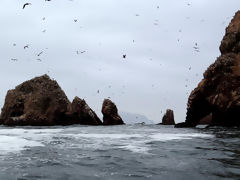 Iles Ballestas, Paracas