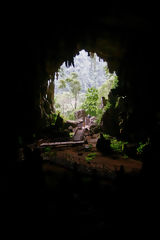 Grotte des Chouettes, Tingo Mara