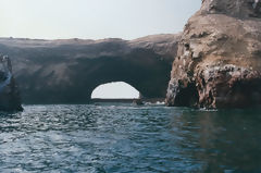 Iles Ballestas, Paracas