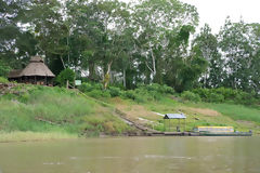 Berges de l'Amazone