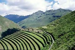 Cultures en terrasses  Pisac