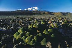 Valle des Volcans, Arequipa