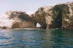 Iles Ballestas, Paracas