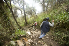 Trekking  Choquequirao