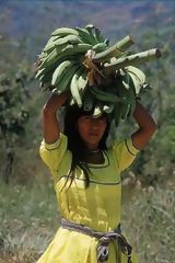 Habitante transportant des bananes