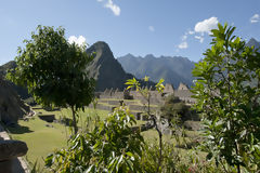 Citadelle de Machu Picchu