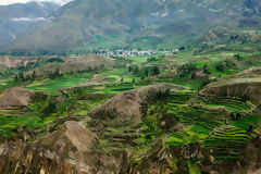 Canyon de Colca