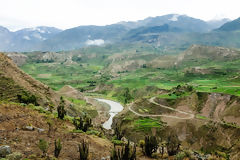 Canyon de Colca