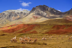 Paysage de Pucapampa