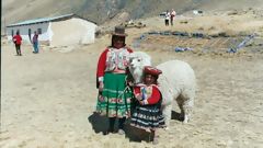 Voyage Puno-Cuzco en train