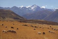 Route vers Moray. Urubamba