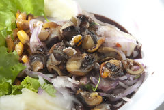 Ceviche de coquilles noires