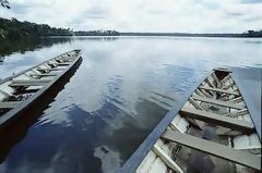 Lac Sandoval, Manu